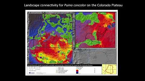 Thomas Sisk - Responding to the Call: Science, Pol...