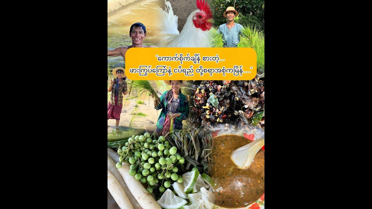 “ကောက်စိုက်အပြန် နေ့လည်စာ…”