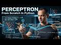 Perceptron From Scratch in Python