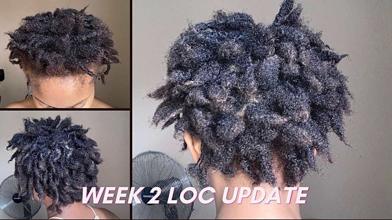 Week 2 Loc Update Finger Coils YouTube