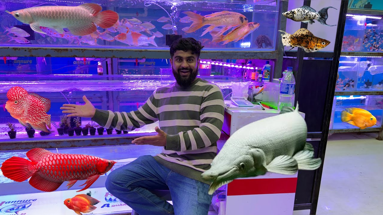 Finally 6 Months Ke Baad Kurla Fish Market Pohoch Gaye 🐠 #kurla_fish_market