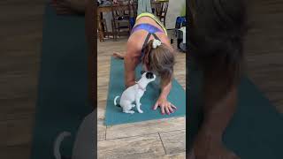 Famous Yoga workout with Stella. Grab your mat and join us. Abs workout. Profile