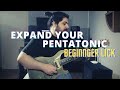 Expand Your Pentatonic Scale | Guitar Lick #1 (With TABS) (Re-Upload)