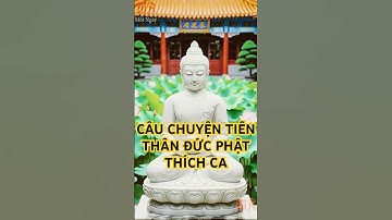 Câu chuyện về tiền thân của Đức Phật Thích Ca #monantinhthanmoingay #phatphap