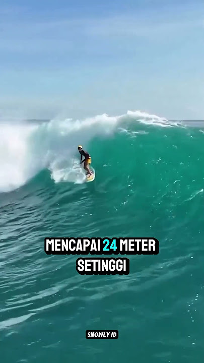 tau ga sih berselancar itu? #faktaunik #selancar#olagragapantai#funfactolahraga#menarik#shortvideo
