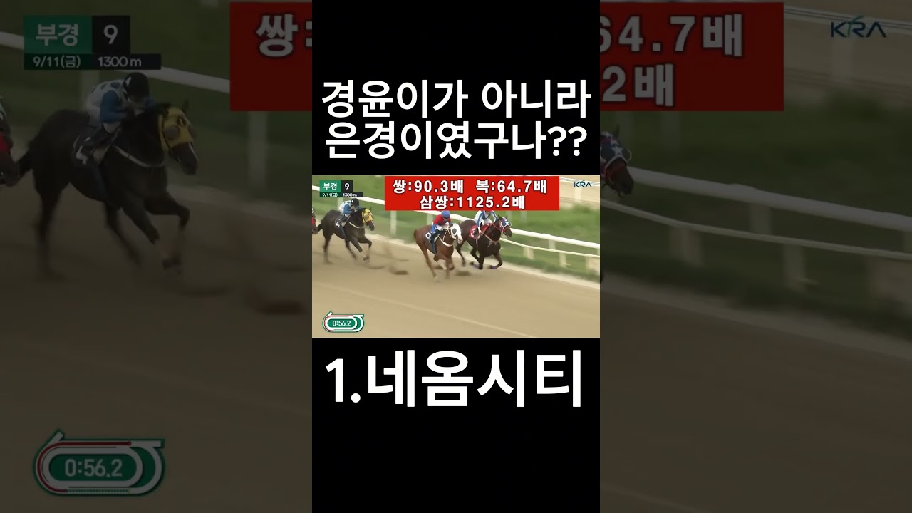 은경이가 승부였네??  #경마  #경마예상  #경마방송  #경마예상방송  #서울경마  #금요경마  #토요경마  #일요경마 #경마장