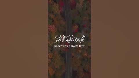 جزاؤهم عند ربهم جنات عدن تجري من تحتها الانهار تلاوه خاشعه للشيخ أحمد خضر