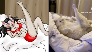 world most hottest and sexiest cat ever 😹 funny cats memes 🤣