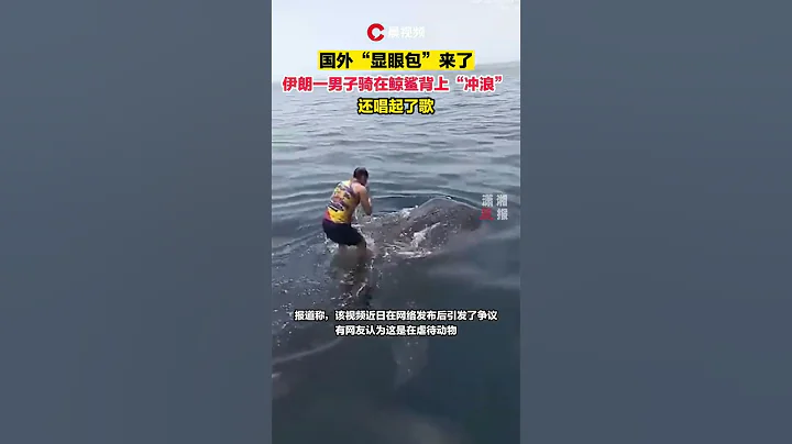 國外“顯眼包”來了！伊朗男子騎在鯨鯊背上“衝浪”，還唱起了歌 - 天天要聞