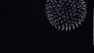 Free Firework Video Footage