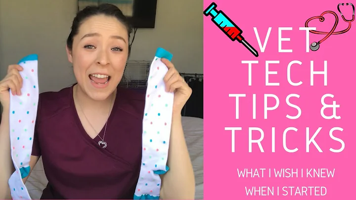 Vet Tech Tips and Tricks | Julie Gomez