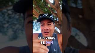 La Rueda de la Vida: Recupera el Equilibrio Entre Éxito y lo Realmente Importante.