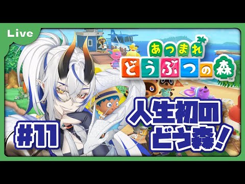 [あつまれどうぶつの森] 人生初のどうぶつの森！？色々教えてもらえると助かります！とたけけさんが来る！？ vol11 [シャヘル]