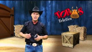 Suba Sus Fotos En La Aplicación De Teletica