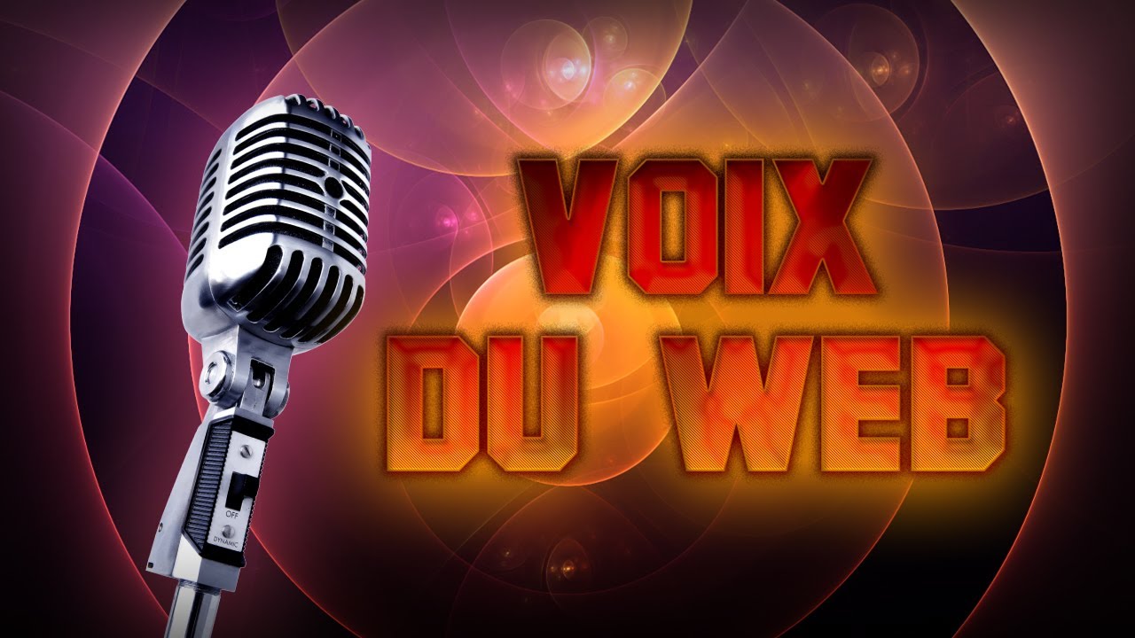 Voix du web #7 TheGeekettte , MrantoineDaniel , AnarchikHead , Eija Multigaming , Oddodde , MatGunzz