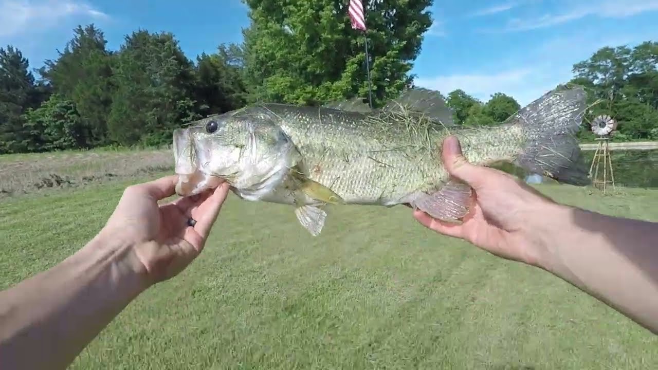 Summer Time Bass Fishing