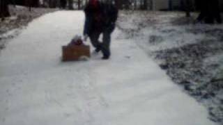 Kailyn sliding getting snow in the face at the end by Raymond Hamby 132 views 14 years ago 37 seconds