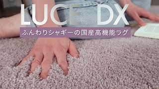 冬用おしゃれなシャギーラグ「LUCE DX」｜びっくりカーペット