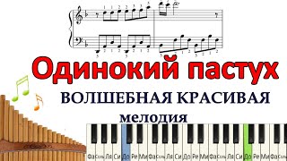 Одинокий пастух. Красивая мелодия для начинающих