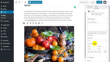 Wordpress New update  Gutenberg page builder - bangla
