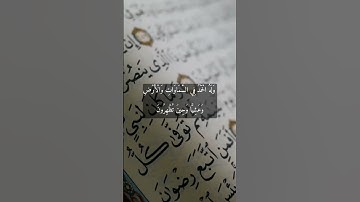 سورة الروم تلاوة بصوت جميل
