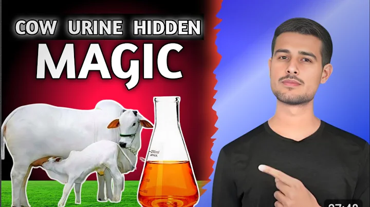 Cow Urine Magic! | Hidden Secret in Gaumutra Explained by Dhruv Rathee 🤫