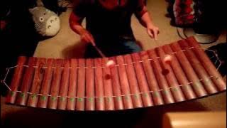 Ranat Ek Practice I (Thai Xylophone)