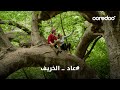 عاد الخريف وعادت Ooredoo عاد الخريف وعادت Ooredoo