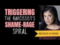 The narcissist and the shamerage spiral
