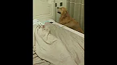 ТВ супер Подписка