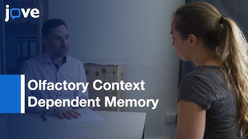 Olfactory Context Dependent Memory: Direct Presentation Of Odorants l Protocol Preview
