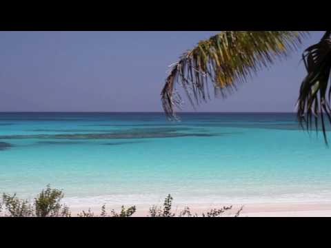 Vidéo: Les plus belles plages des Bahamas