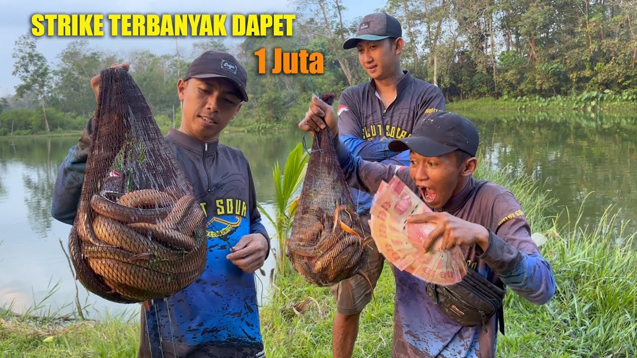 MANCING BELUT TERBANYAK HADIAH Rp.1.000.000
