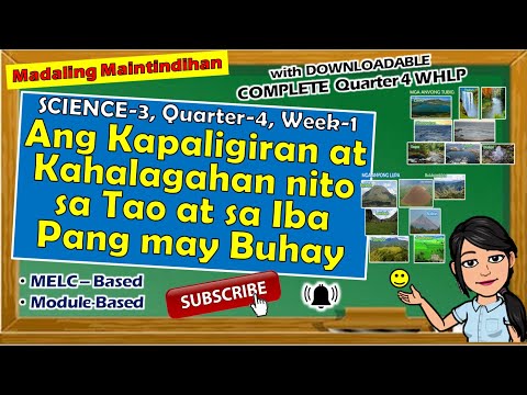 Video: Pink Hydrangea (48 Na Larawan): Pagtatanim At Pangangalaga Sa Bukas Na Larangan, Paglalarawan Ng Mga Pagkakaiba-iba Ng Mala-hydrangea Na Tulad Ng Puno At Malalaking Lebadura. Paano