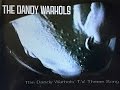 The dandy warhols tv theme song 1995 official music