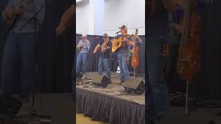 Dallas Guitar Festival,   Bluegrass band. #livemusic #bluegrass