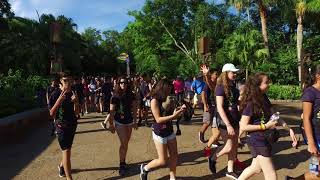 4K Olaf Animal Kingdom