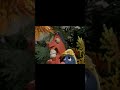 GOO FOR POKEY Slowed to explosion!