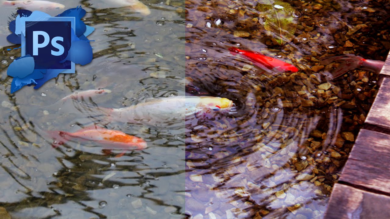 Photoshop Tutorial Basic Color Correction To Murky Water YouTube photoshop-tutorial-basic-color-correction-to-murky-water-youtube