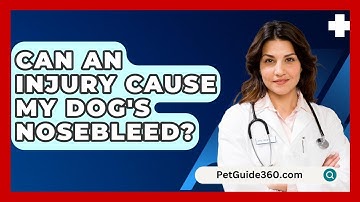 Can An Injury Cause My Dog