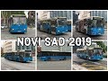 Novi Sad Buses | Autobusi u Novom Sadu | Compilation