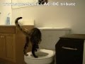 I Trained My Bengal Cat How to Pee On The Toilet & Flush