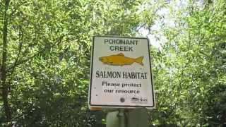 Abbotsford Salmon Habitat Sign