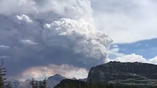 Creative common/Telifsiz video