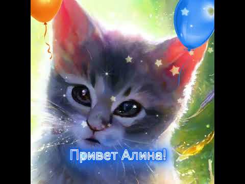 #привет Алина! #котики #коты #кошки #новинка #приколы #сднемрождения #котята