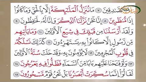 المفردات الصعبة - ص٢٦٢ القسم ٢- القارئ مازن الخالدي