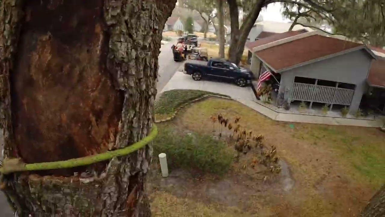 Crane day ! Raw footage no edit