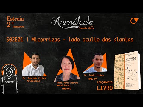 Vídeo: Diferença Entre Raízes Parasitas E Micorrizas