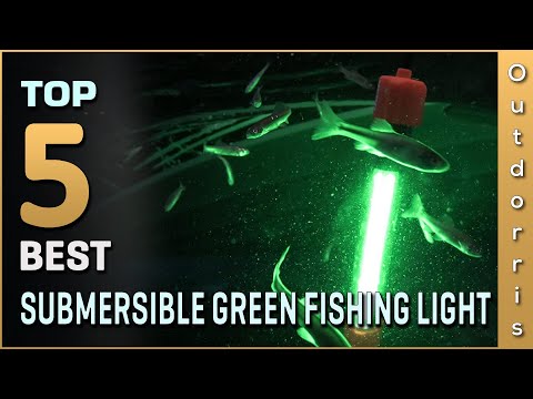Top 5 Best Submersible Green Fishing Lights Review in 2023