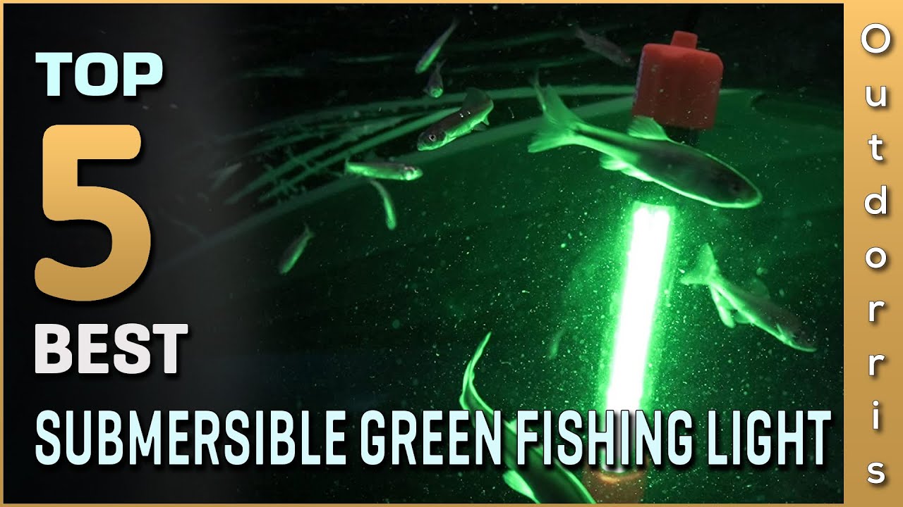 Top 5 Best Submersible Green Fishing Lights Review in 2023 